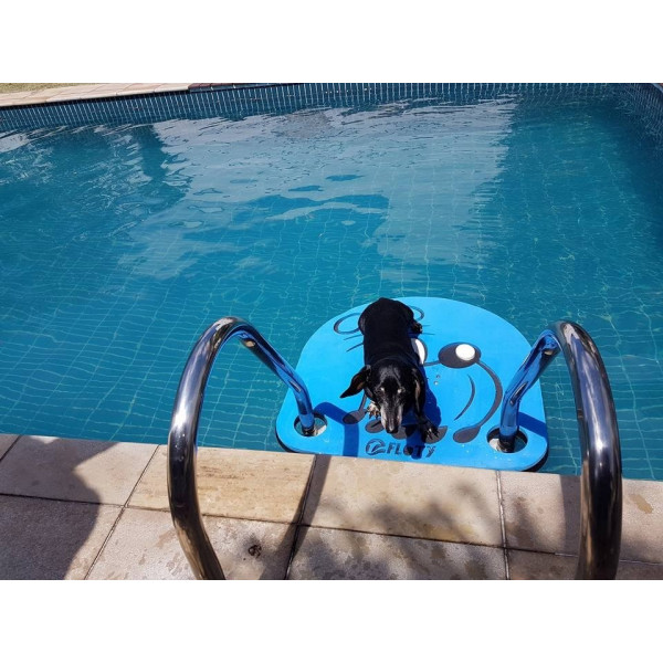 Plataforma para Saída de Animais da piscina-  Scape Dog - Bidu Turma da Mônica